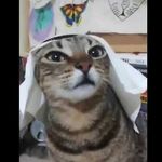 Profile Picture of Jardines F&aacute;cil (@jardines_faciles) on Instagram