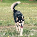 Profile Picture of Scott Meigs (@smeigs777) on Instagram