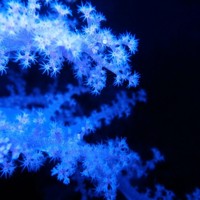 Hagen Zillmann - Quora Profile Picture of Hagen Zillmann (@hagen-zillmann) on Quora