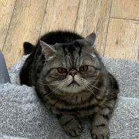 Profile Picture of Catherine Mcconkey (@catherine-mcconkey-4) on Quora