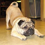 Profile Picture of Jon Blose (@bombernola) on Instagram