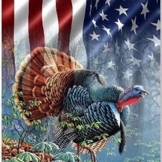 Profile Picture of Steve Nobles (@noblessteve) on Instagram