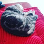 Profile Picture of Annika Mackinger (@1x.annika.x4) on Instagram