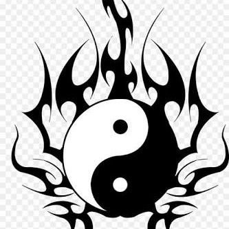 Profile Picture of Yin Dan Yang (@YinDanYang4) on Twitter