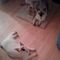 Profile Picture of Rachel Harrison (@rachel.harrison.92754) on Facebook