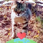 Dris Salawi - Facebook Profile Picture of Dris Salawi (@Dris-Salawi) on Facebook