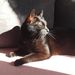 Profile Picture of Julia Gola (@jutrzenka37) on Pinterest