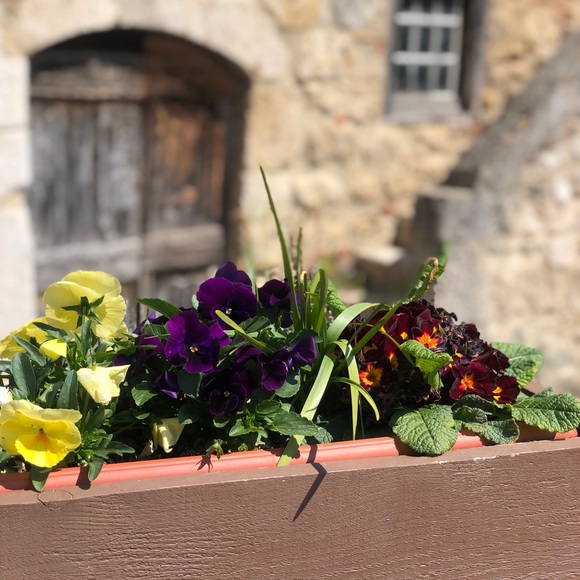 Profile Picture of Lily Ryan (@lil10026) on Poshmark