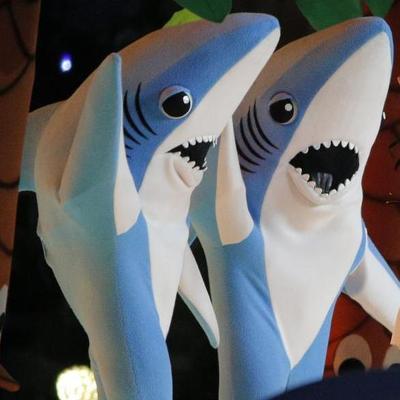 Profile Picture of Peter Ponce (@PeterPonceVO) on Twitter