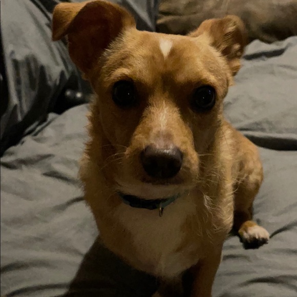 Kim Penrose - Poshmark Profile Picture of Kim Penrose (@kimpenrose) on Poshmark