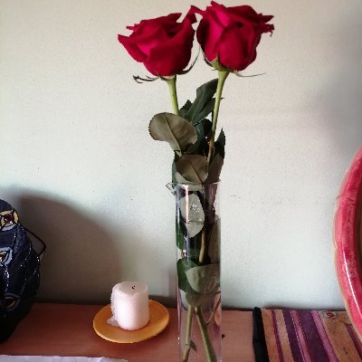 Eloisa Fernández Valenzuela - Twitter Profile Picture of Eloisa Fernández Valenzuela (@EloisaFernndez9) on Twitter