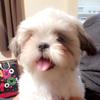 Profile Picture of Scott Bartell (@slotman666) on Tiktok