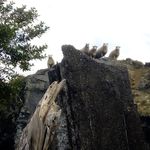 Profile Picture of bailey rose millard (@bailey_rose_m) on Instagram