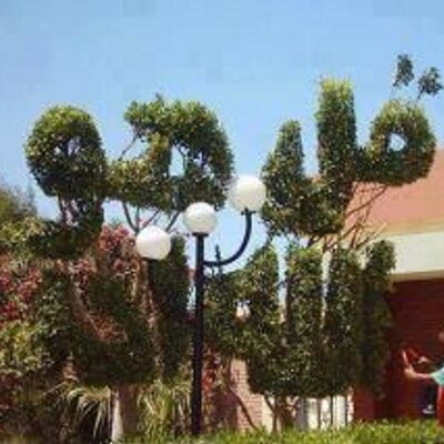 Profile Picture of Alaaeldinibrahim (@alaaeldinib) on Twitter