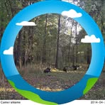 Profile Picture of Harold Neblock (@Harold-Neblock) on Facebook