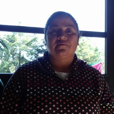 Profile Picture of Eloisa Ibarra Hernandez (@EloisaIbarraHe1) on Twitter