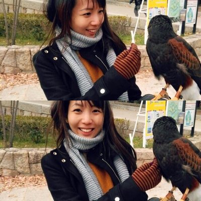 Profile Picture of Cheryl Wong (@chelter) on Twitter