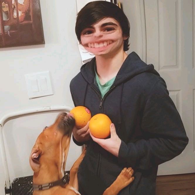 Profile Picture of Justin Selm (@justinselm) on Tiktok