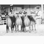 Profile Picture of Kerry Alexander (@makerjerseys) on Instagram