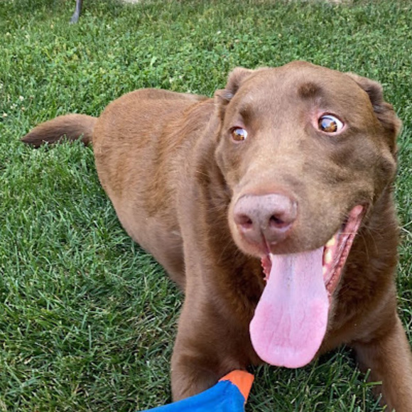 Profile Picture of Abby Gottschalk (@ajgst272) on Poshmark