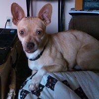 Profile Picture of Ruth Stewart (@ruth-stewart-14) on Quora