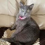 Profile Picture of Debra Ryals (@ryalsdebra) on Instagram