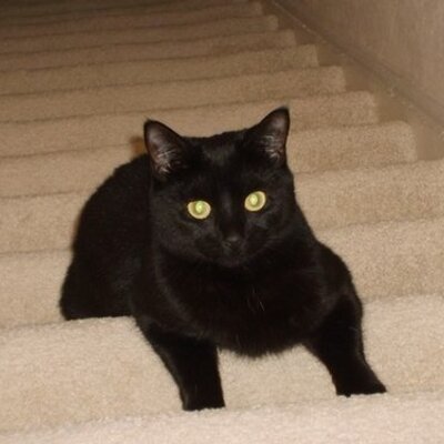 Profile Picture of Mandy Tovell-travers (@TovellMandy) on Twitter