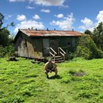 Profile Picture of Phillip Bernard IV (@phillipbernardiv) on Instagram