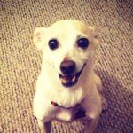Profile Picture of Eric Brown (@theericbrown) on Instagram