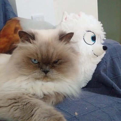 Profile Picture of Roger Lawrence (@Roger7lawrence) on Twitter