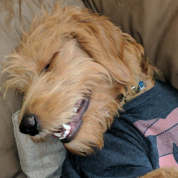 Profile Picture of Kiana Diessner (@utahkiana) on Poshmark