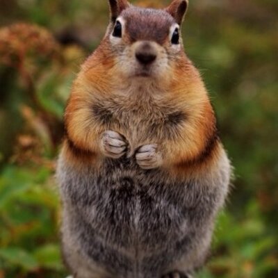 Profile Picture of Paiten Goodrich (@kevin12478) on Twitter