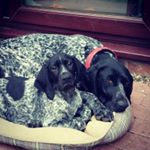 Profile Picture of Harry Hicks (@_hicks2003) on Instagram