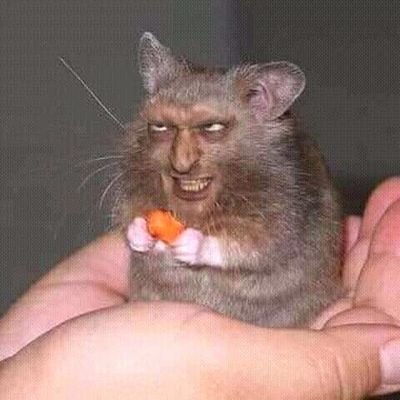 Profile Picture of BenBarr (@BenBarr12) on Twitter