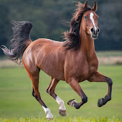 Profile Picture of Amanda Keating (@amandakeating7294) on Youtube