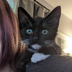 Laurel Griffith - Instagram Profile Picture of Laurel Griffith (@griffitheartist) on Instagram