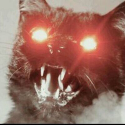 Profile Picture of C Pringle (@sprinklepringle) on Twitter