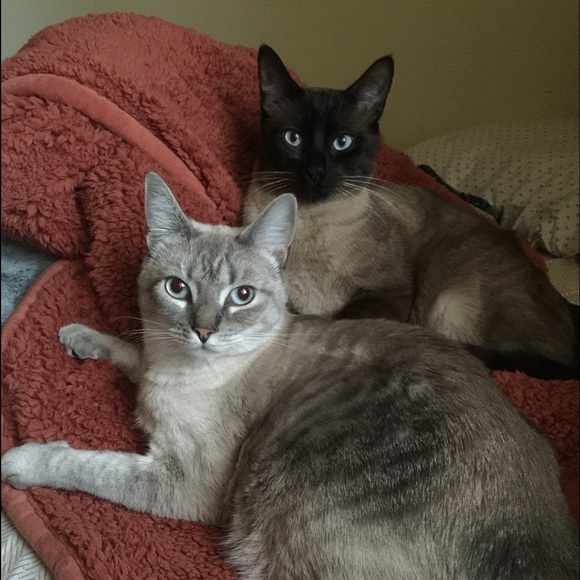 Profile Picture of Sami Bidwell (@samib420) on Poshmark