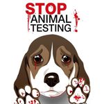 Profile Picture of Bianca Dobos (@stopinganimaltesting) on Instagram