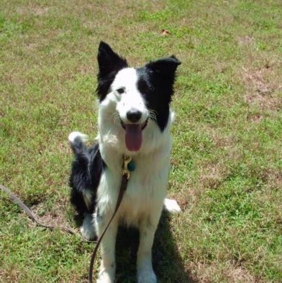 Profile Picture of Jon Hodge (@jonhodge) on Poshmark