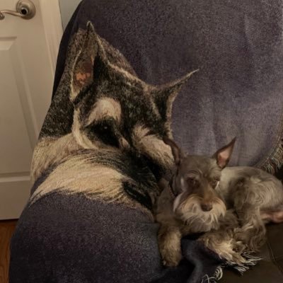 Profile Picture of James Lisenby (@jdl1462) on Twitter