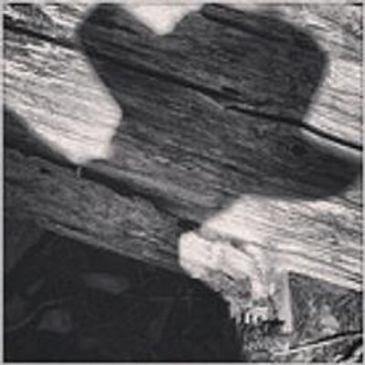 Profile Picture of Ron A. Parker (@@QuadzillaNET) on Twitter