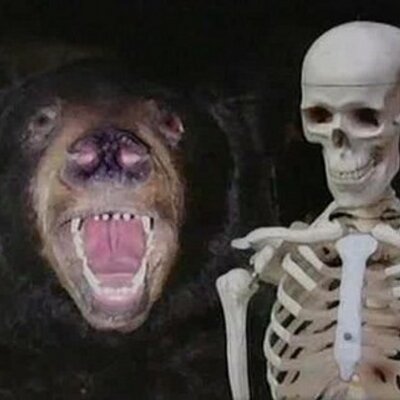 Brian Moseley - Twitter Profile Picture of Brian Moseley (@Brian_Moseley) on Twitter