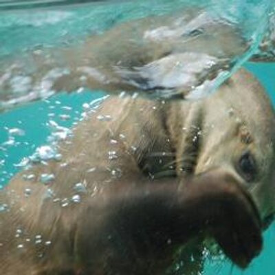 Profile Picture of CamOmille Gallego (@CamOmille65) on Twitter