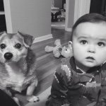 Profile Picture of Christopher Shen (@shendog55) on Instagram