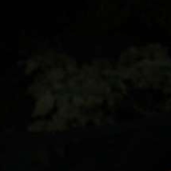 Profile Picture of Jolene Smither (@jsmitjer77779) on Poshmark