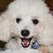 Profile Picture of Ruby Sanford (@rubysandfrd) on Pinterest