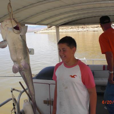 Profile Picture of Kevin Vest (@kevincvest) on Twitter