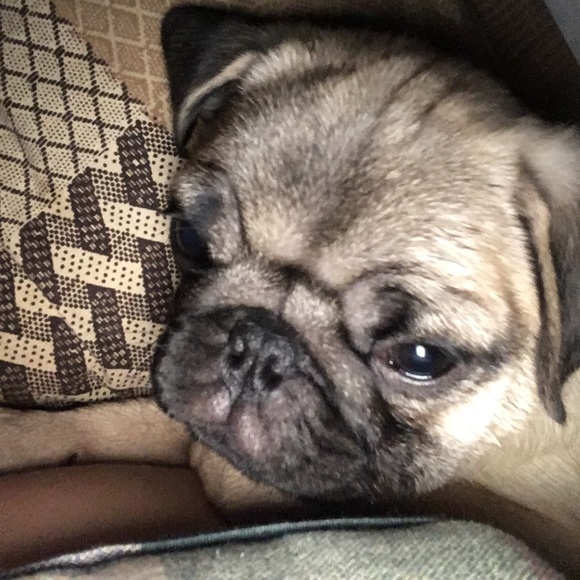 Profile Picture of Josiah Kleinhans (@jgk287) on Poshmark