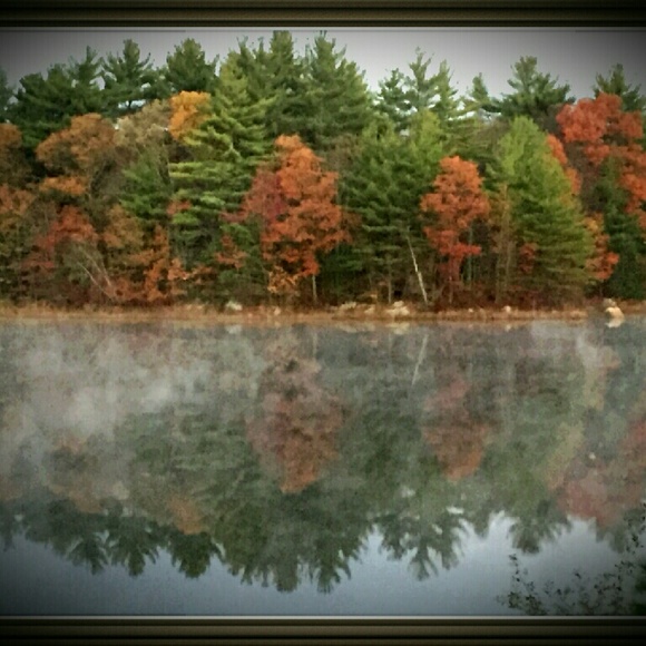 Profile Picture of Dawn Dolan (@irishbudah) on Poshmark